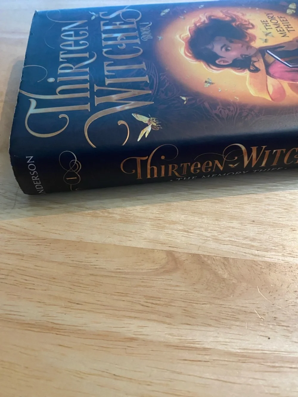 Thirteen Witches: The Memory Thief - Jodi Lynn Anderson Hardcover Book